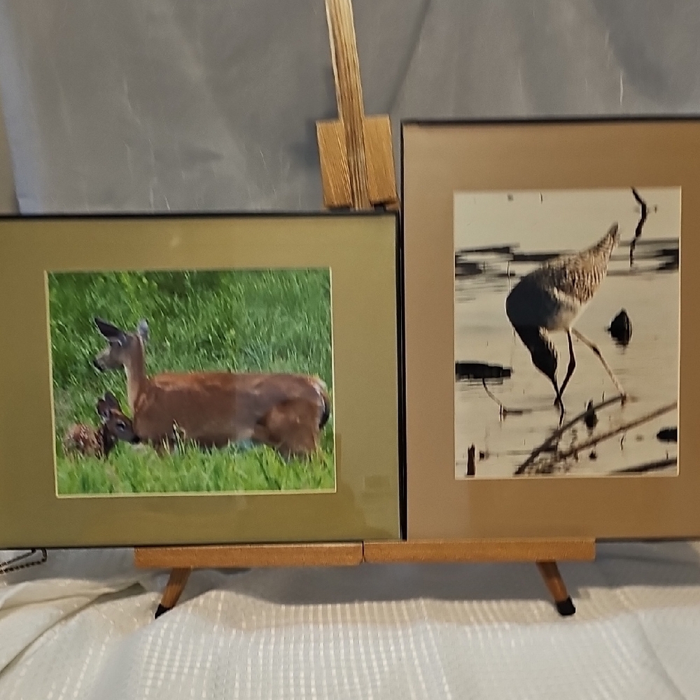 Pair Of Framed Wildlife Art Prints - Deer And Crane.